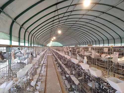 钢管养殖保温大棚