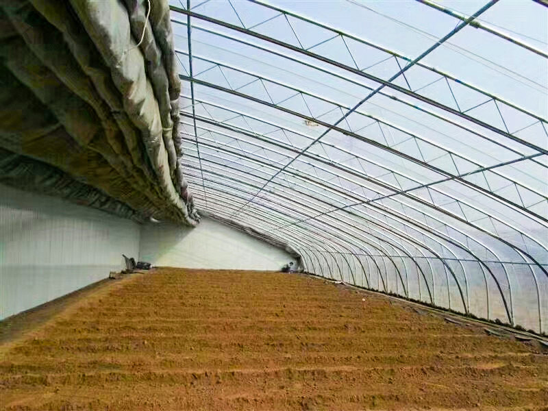 蔬菜日光温室大棚