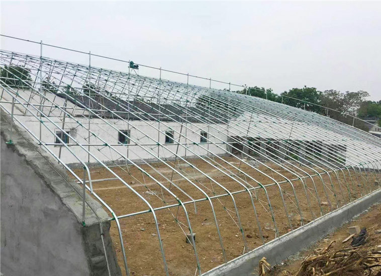 日光温室大棚