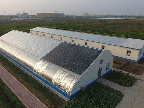 新型钢管养殖大棚